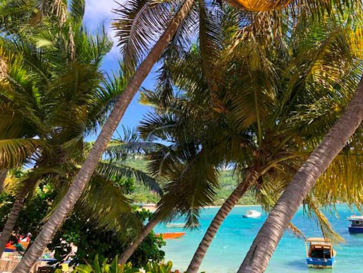 Bequia Beachfront Villa Hotel Friendship エクステリア 写真