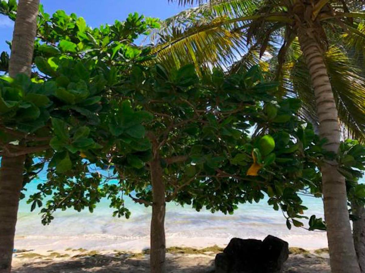 Bequia Beachfront Villa Hotel Friendship エクステリア 写真